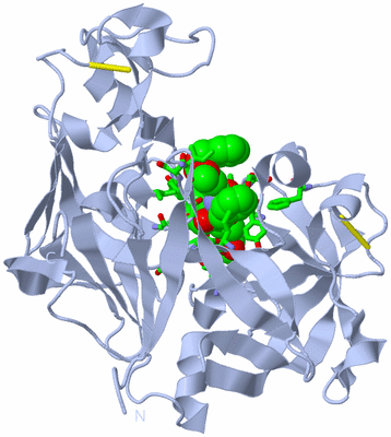 Image Biol. Unit 1 - sites