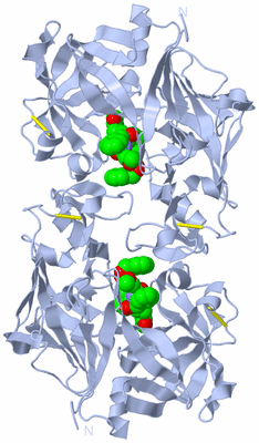 Image Biological Unit 2