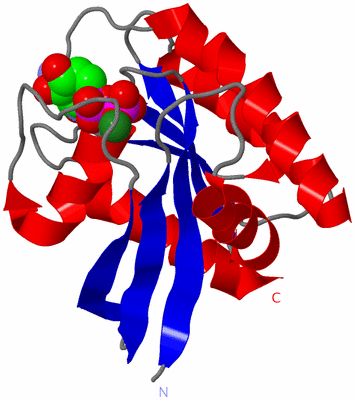 Image Asym./Biol. Unit