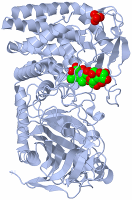 Image Biological Unit 1