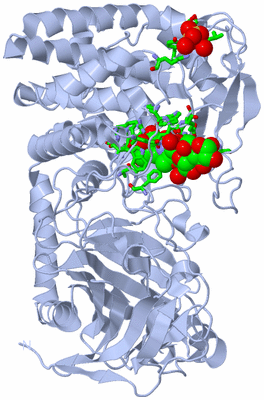 Image Biol. Unit 1 - sites