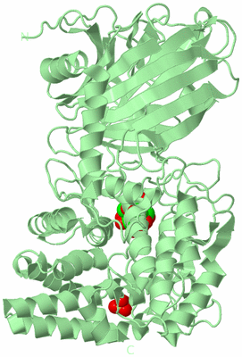 Image Biological Unit 2