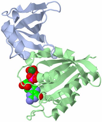 Image Biological Unit 1