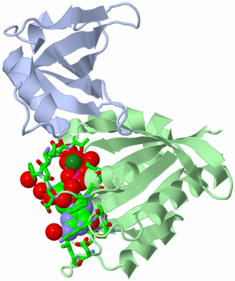 Image Biol. Unit 1 - sites