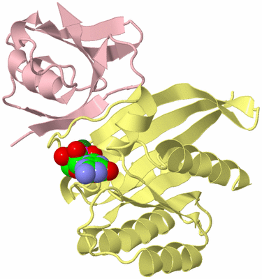 Image Biological Unit 2