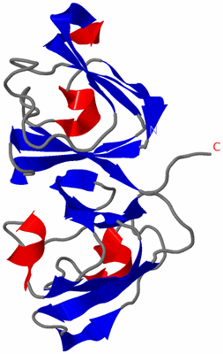 Image Theoretical Model