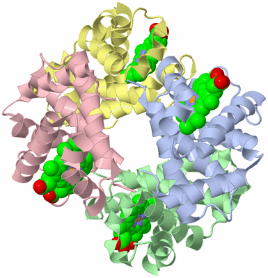 Image Biological Unit 1