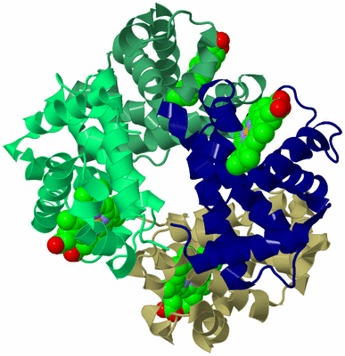 Image Biological Unit 2