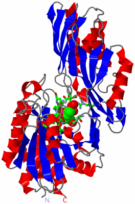 Image Asym./Biol. Unit - sites