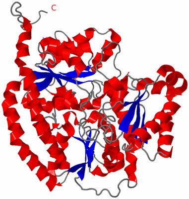Image Theoretical Model
