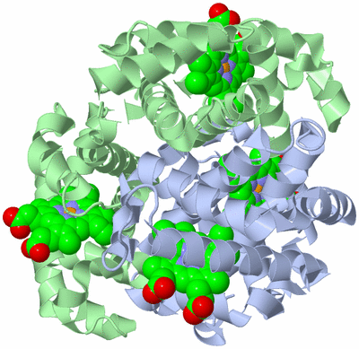 Image Biological Unit 1