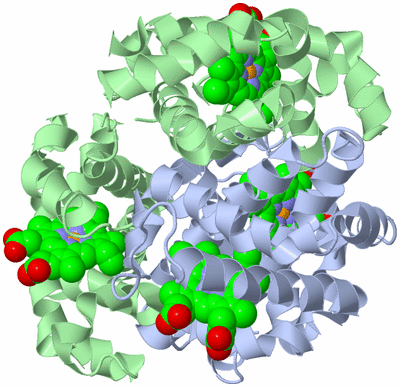 Image Biological Unit 1