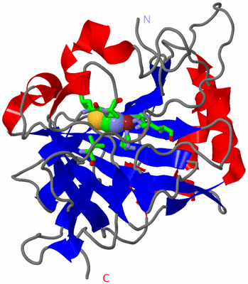 Image Asym./Biol. Unit - sites