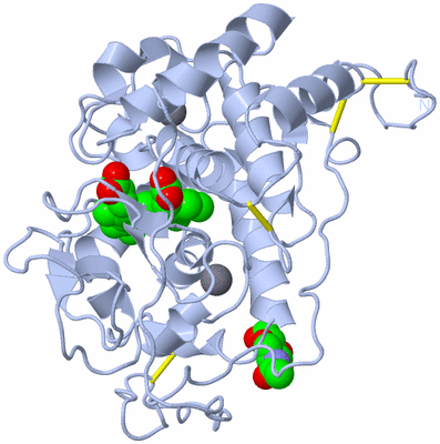 Image Biological Unit 1