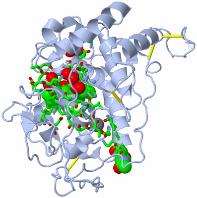 Image Biol. Unit 1 - sites