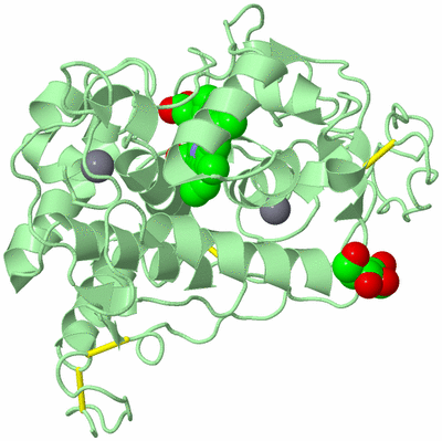 Image Biological Unit 2