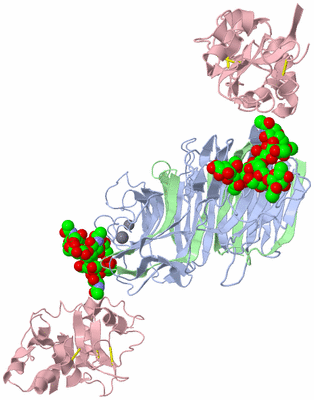 Image Biological Unit 1