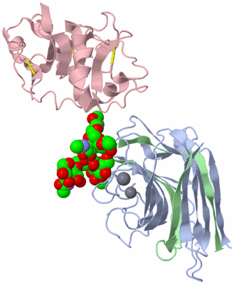 Image Biological Unit 2