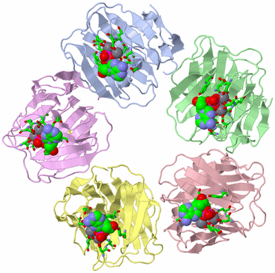 Image Asym./Biol. Unit - sites