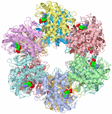 Image Asym./Biol. Unit