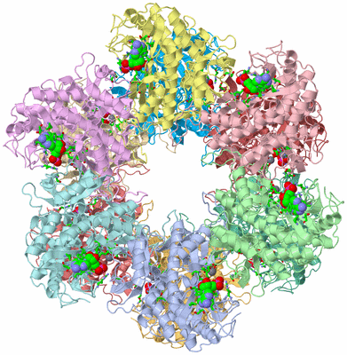 Image Asym./Biol. Unit - sites