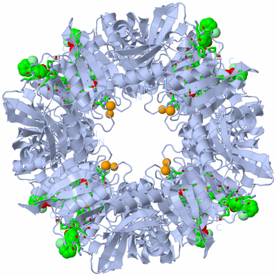 Image Biol. Unit 1 - sites