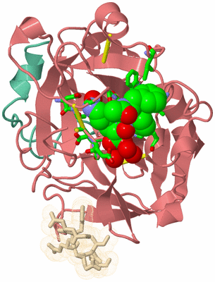 Image Asym./Biol. Unit - sites