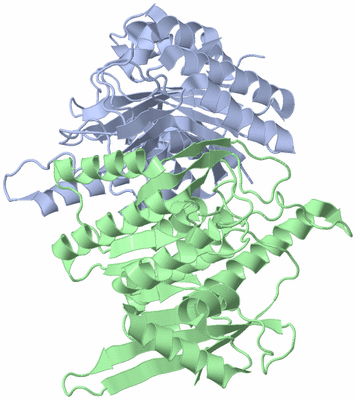 Image Asym./Biol. Unit