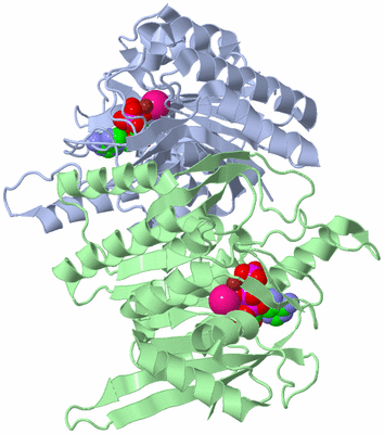 Image Asym./Biol. Unit