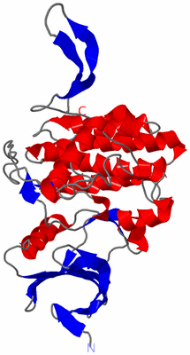 Image Theoretical Model