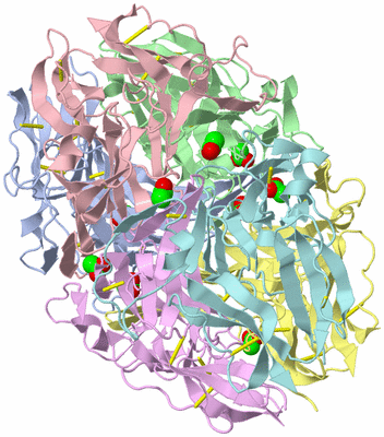 Image Asym./Biol. Unit