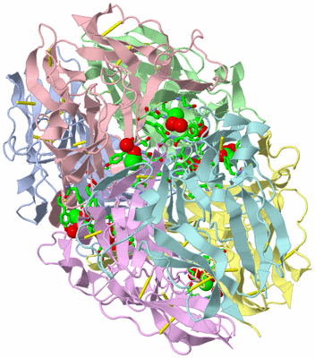 Image Asym./Biol. Unit - sites