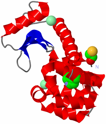 Image Asym./Biol. Unit