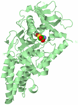 Image Biological Unit 2