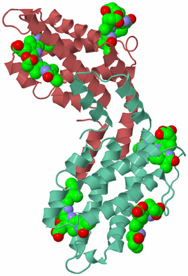 Image Biological Unit 2