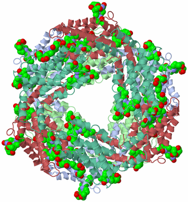 Image Biological Unit 3