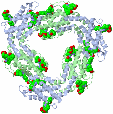 Image Biological Unit 4