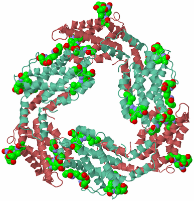 Image Biological Unit 5