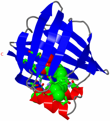 Image Asym. Unit - sites