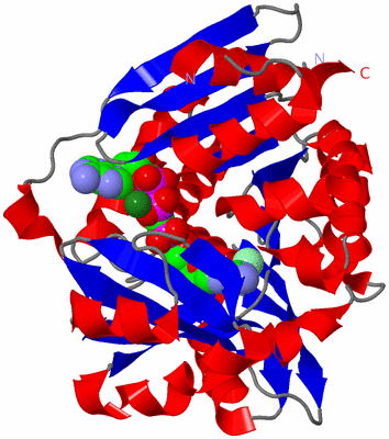 Image Asym./Biol. Unit