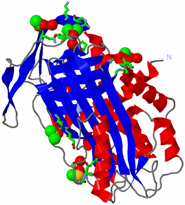 Image Asym./Biol. Unit - sites