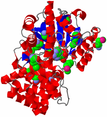 Image Asym./Biol. Unit