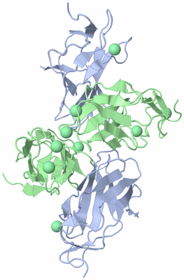 Image Biological Unit 3