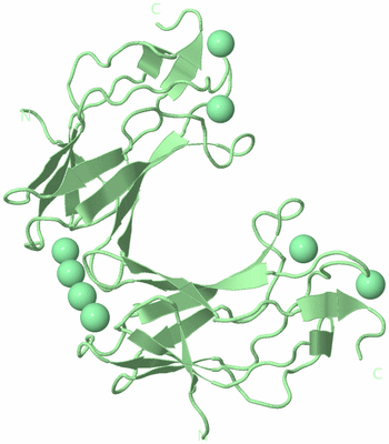 Image Biological Unit 4