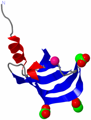 Image Asymmetric Unit