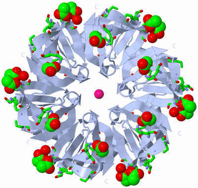 Image Biol. Unit 1 - sites