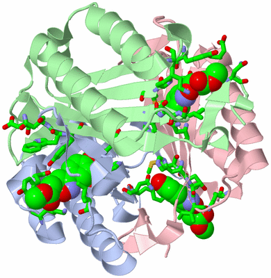 Image Asym./Biol. Unit - sites