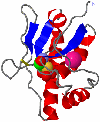 Image Asym./Biol. Unit