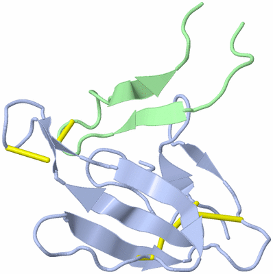 Image NMR Structure - model 1