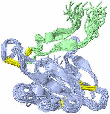 Image NMR Structure - all models